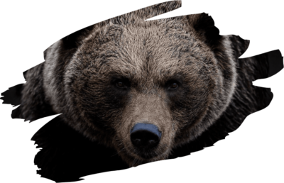 urso0